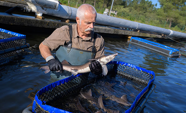 nanoIce_Clients_Harvesters_600x365