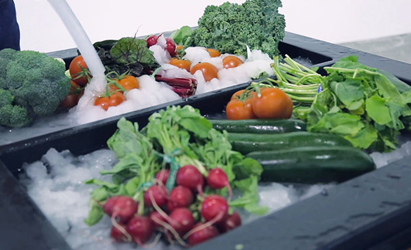 nanoIce_Vegetables_600x365